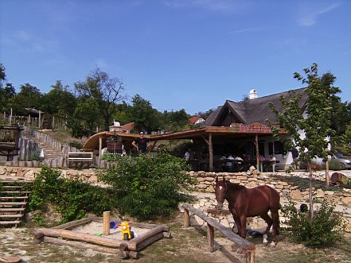 Balatonfüred  - Papok borozója